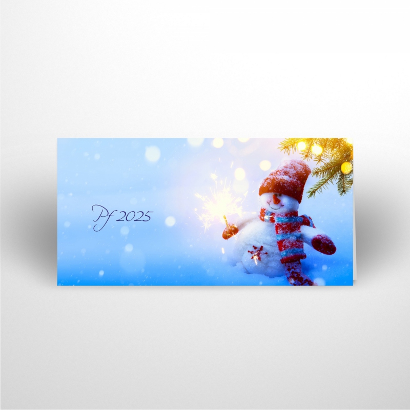 Christmas card N916o2