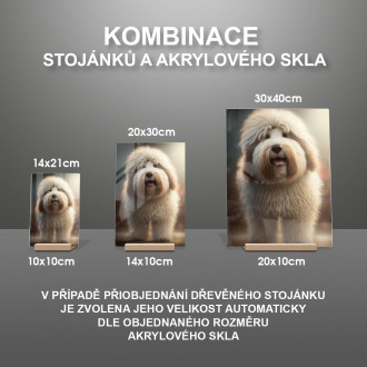 Polish Lowland Sheepdog cartoon