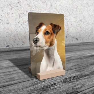 Parson Russell Terrier realistic