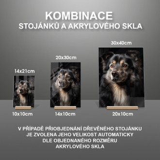 Finnish Lapphund realistic
