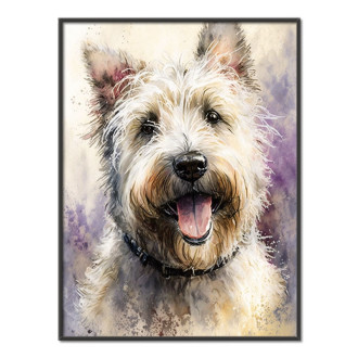 Glen of Imaal Terrier watercolor