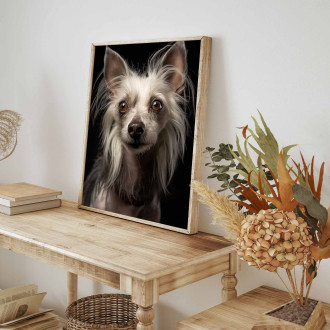 Chinese Crested realistic