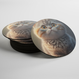Coasters Scottish Fold cat cartoon