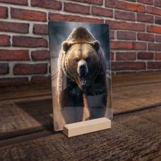 Acrylic glass Big Grizzly