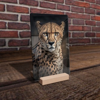 Acrylic glass A male cheetah