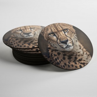 Coasters A male cheetah