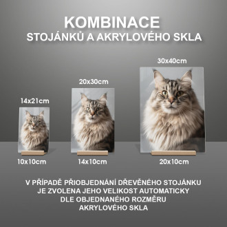 Siberian cat realistic