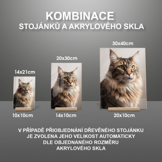 Norwegian Forest cat realistic