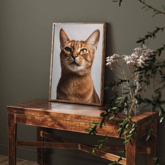 Abyssinian cat realistic