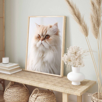 Persian cat realistic
