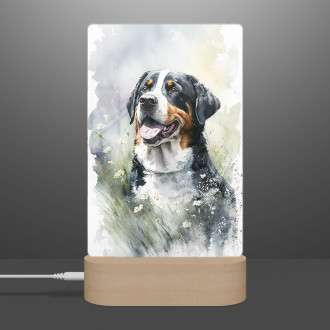 Greater Swiss Mountain Dog watercolor