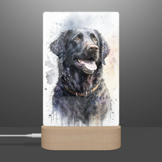 Curly Coated Retriever watercolor