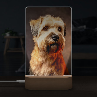 Soft Coated Wheaten Terrier realistic