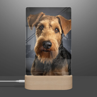 Airedale Terrier realistic
