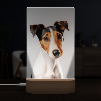 Smooth Fox Terrier realistic