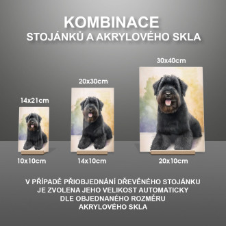 Black Russian Terrier watercolor