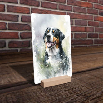 Greater Swiss Mountain Dog watercolor