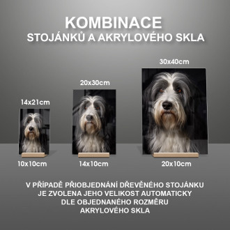 Polish Lowland Sheepdog realistic