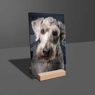 Bedlington Terrier realistic