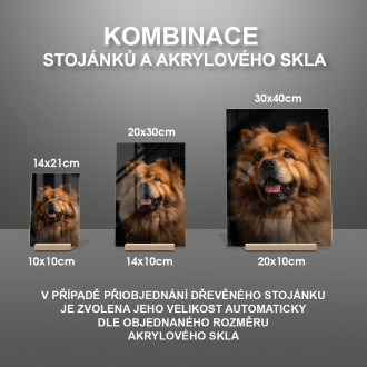Chow Chow realistic
