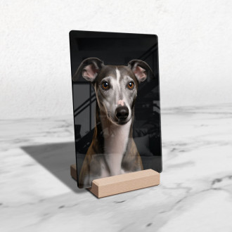Whippet realistic