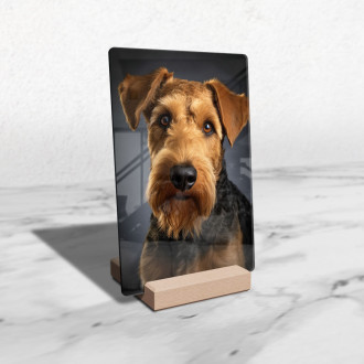 Airedale Terrier realistic