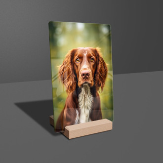 Irish Red and White Setter realistic