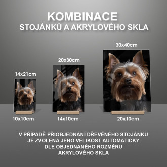 Yorkshire Terrier realistic