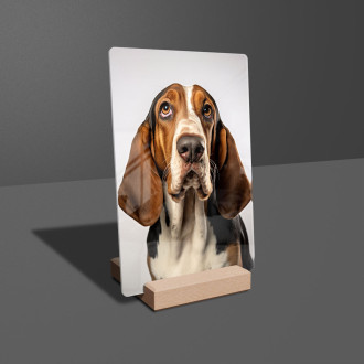 Basset hound realistic