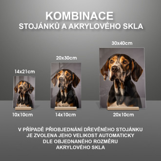 American English Coonhound realistic