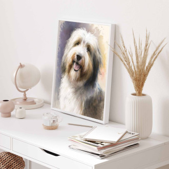 Bearded Collie watercolor