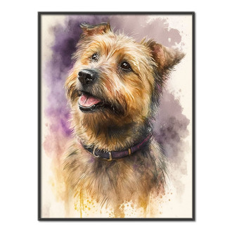 Norfolk Terrier watercolor