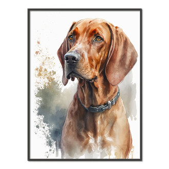 Redbone Coonhound watercolor