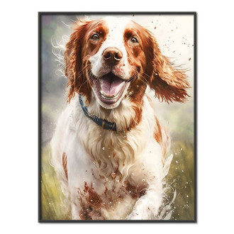 Irish Red and White Setter watercolor