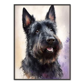 Scottish Terrier watercolor
