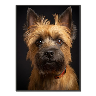 Cairn Terrier realistic