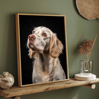 Clumber Spaniel realistic