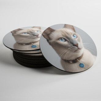 Coasters Tonkinese cat realistic