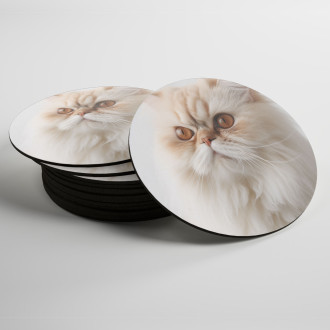 Coasters Persian cat realistic