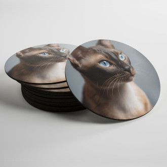 Coasters Oriental cat realistic