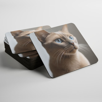 Coasters Burmese cat realistic