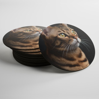Coasters Bengal cat realistic
