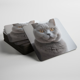 Coasters British Shorthair cat realistic