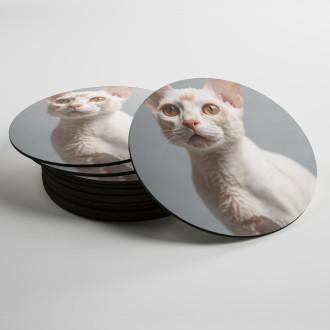 Coasters Devon Rex cat realistic