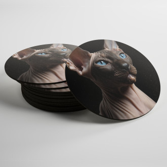 Coasters Sphynx cat realistic