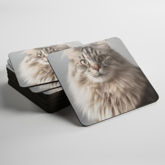 Coasters Siberian cat realistic