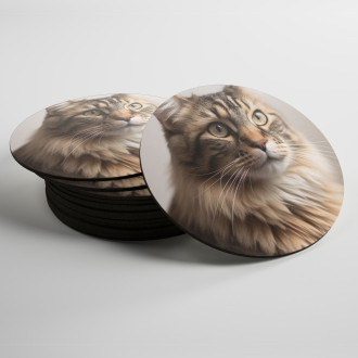 Coasters Norwegian Forest cat realistic