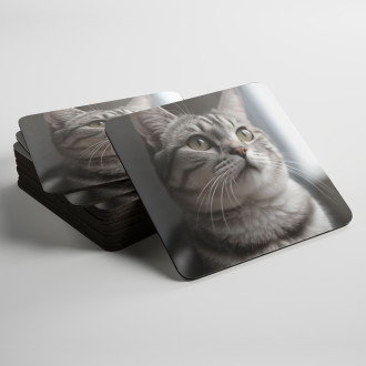 Coasters American Shorthair cat realistic