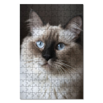 Wooden Puzzle Ragdoll cat realistic