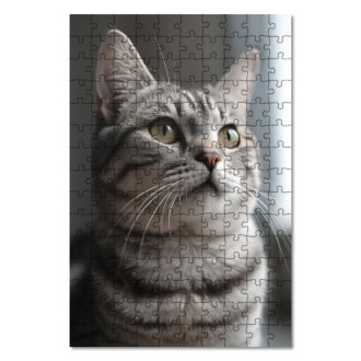 Wooden Puzzle American Shorthair cat realistic
